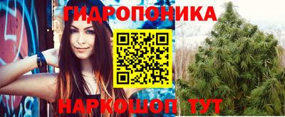 соль ск Бийск