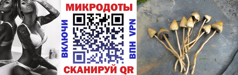 Псилоцибиновые грибы Cubensis  Каменск-Шахтинский 