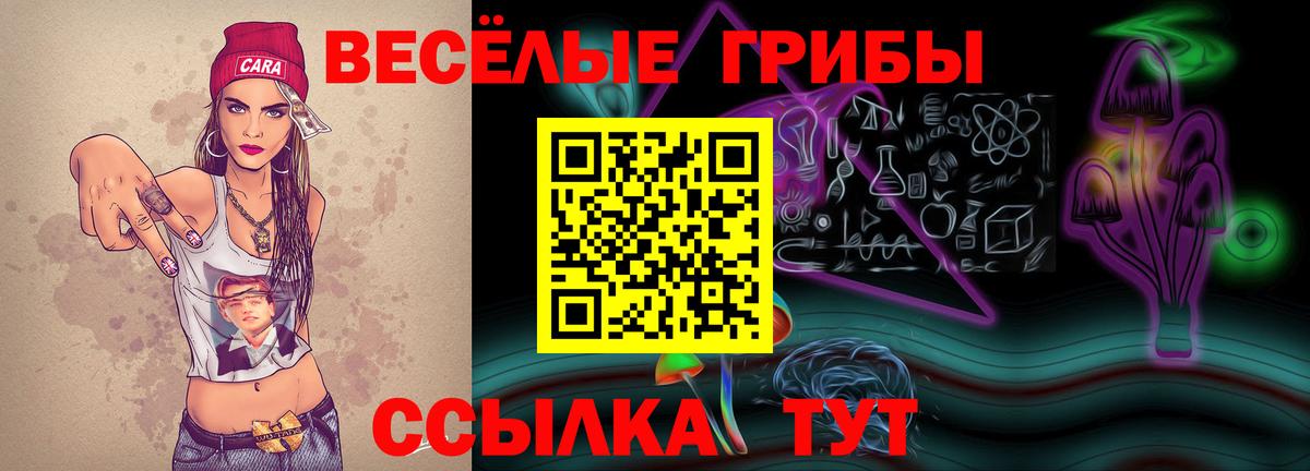 Псилоцибиновые грибы Psilocybe Каменск-Шахтинский