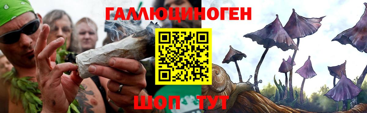 Каменск-Шахтинский  Галлюциногенные грибы мухоморы  Вход с VPN 